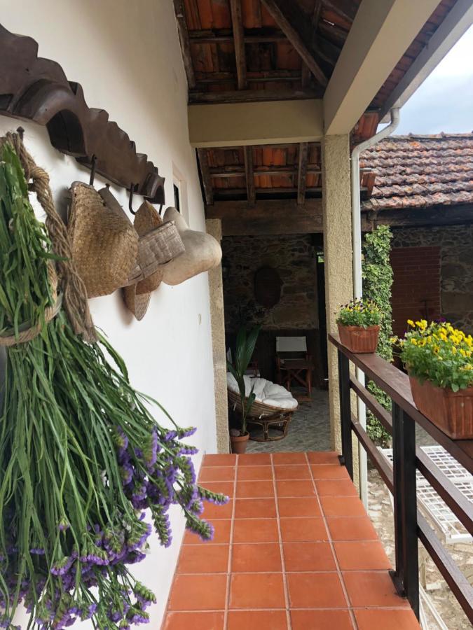 Vila Delfina Lousã Extérieur photo