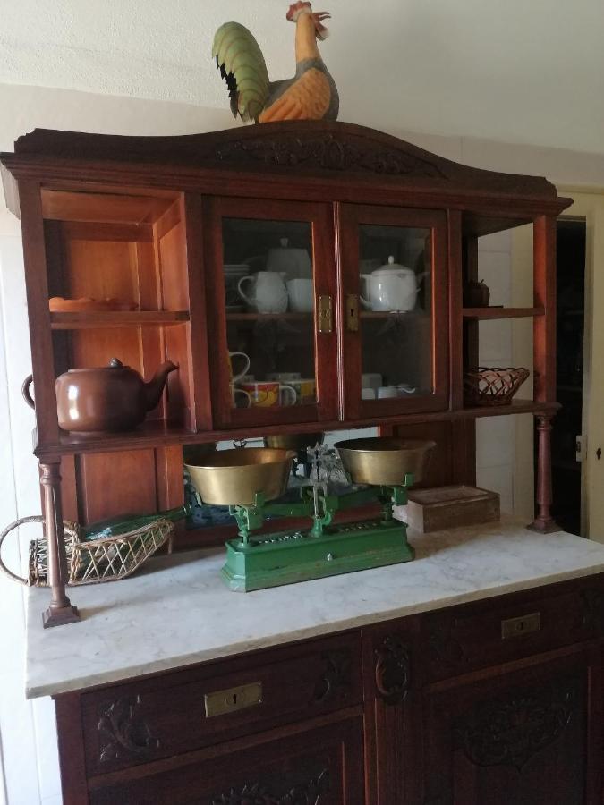 Vila Delfina Lousã Extérieur photo