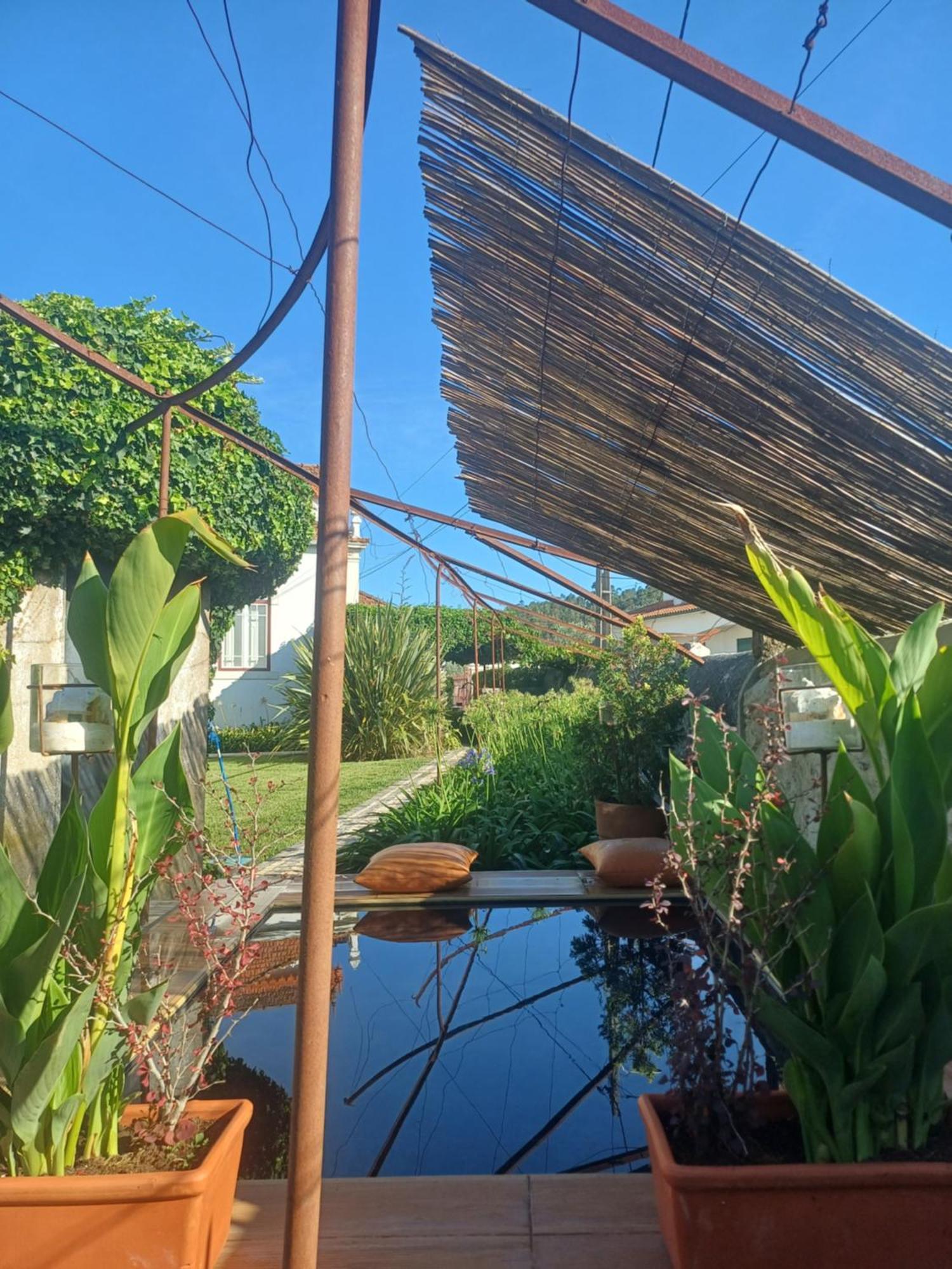 Vila Delfina Lousã Extérieur photo