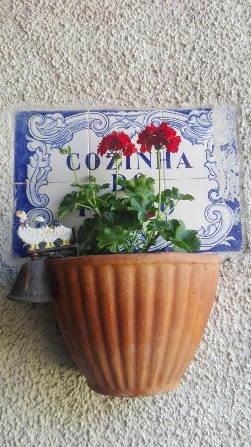 Vila Delfina Lousã Extérieur photo